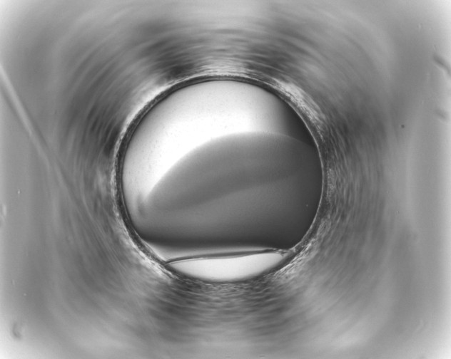 X0000093731331200710301036