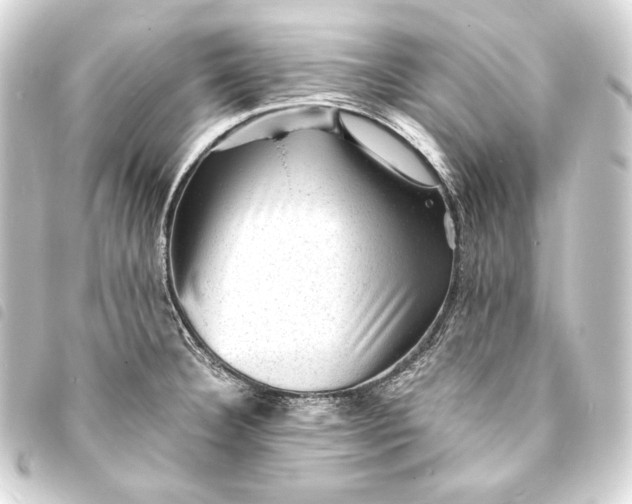 X0000093731332200710301036