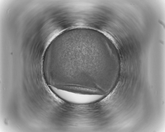 X0000093731333200710301036