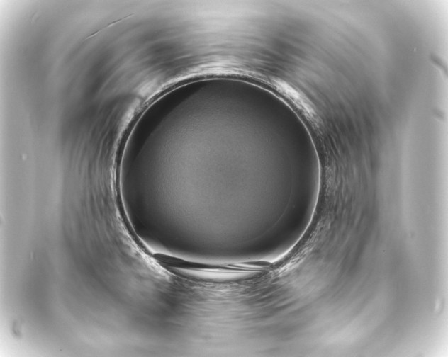 X0000093731334200710301037