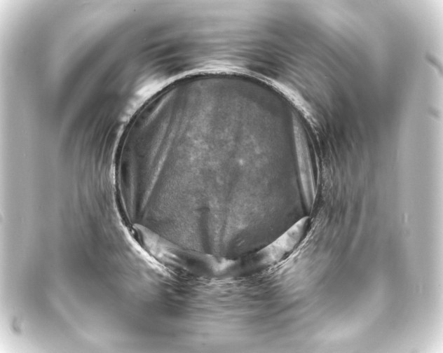 X0000093731335200710301037