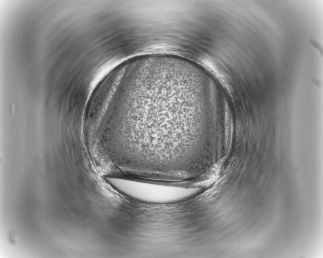 X0000093731336200710301037
