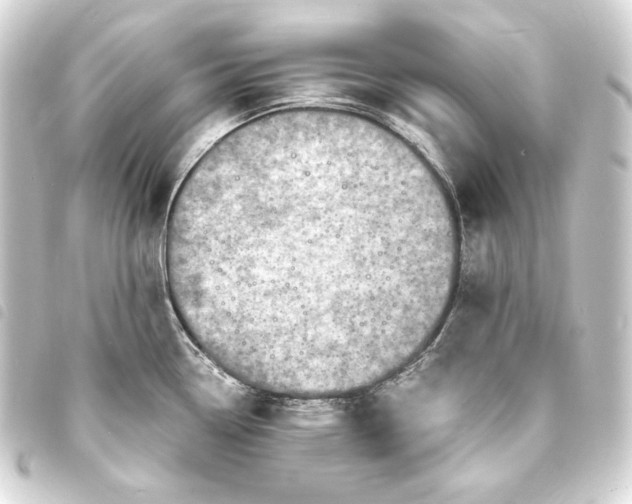 X0000093731338200710301037