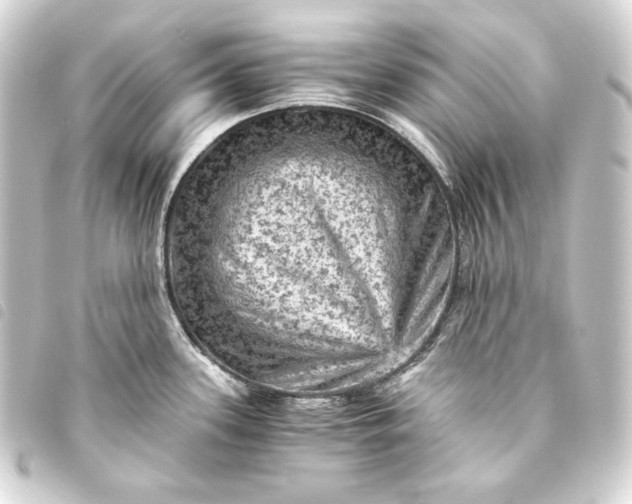 X0000093731339200710301037