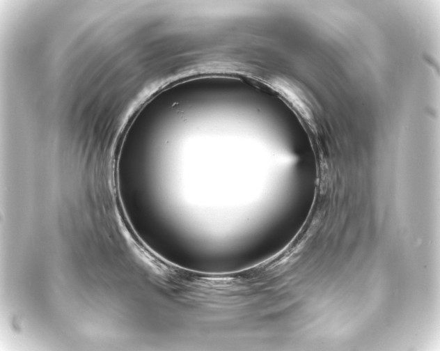 X0000093731342200710301037
