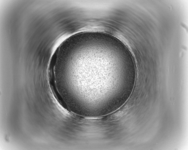 X0000093731344200710301037