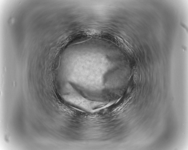 X0000093731345200710301036