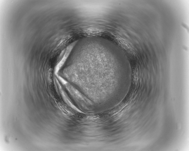 X0000093731346200710301036