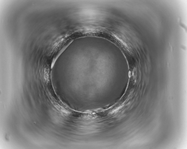 X0000093731348200710301036