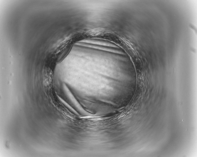 X0000093731349200710301036