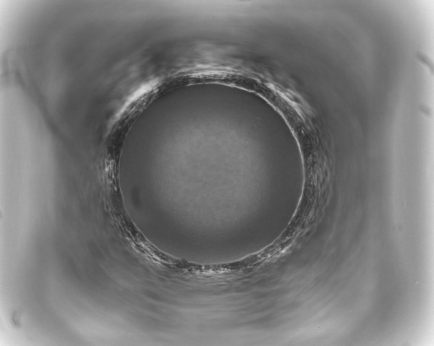 X0000093731351200710301036
