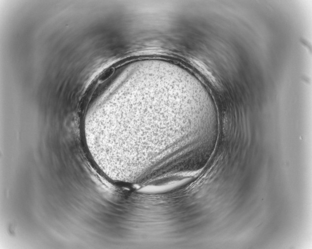 X0000093731356200710301036