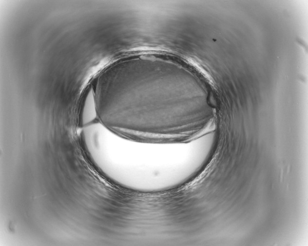 X0000093731357200710301036