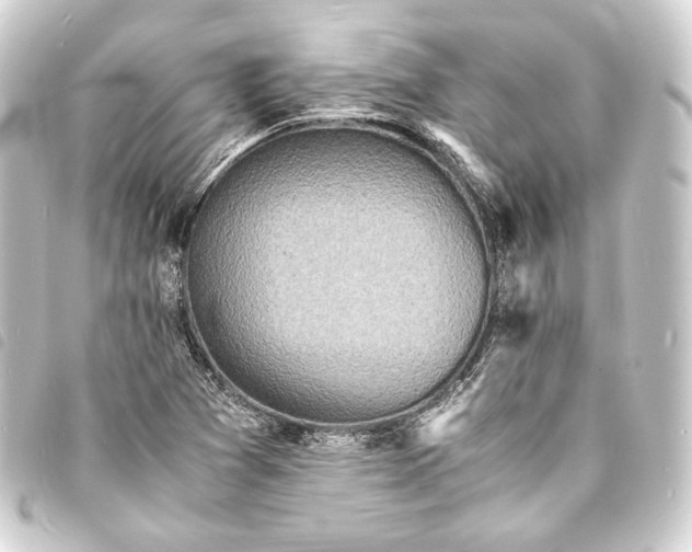 X0000093731361200710301036