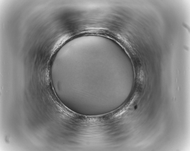 X0000093731362200710301036