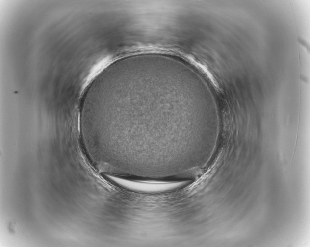 X0000093731365200710301036