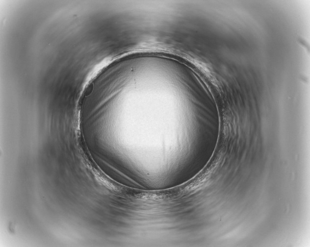 X0000093731366200710301036