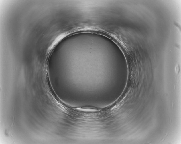 X0000093731367200710301036