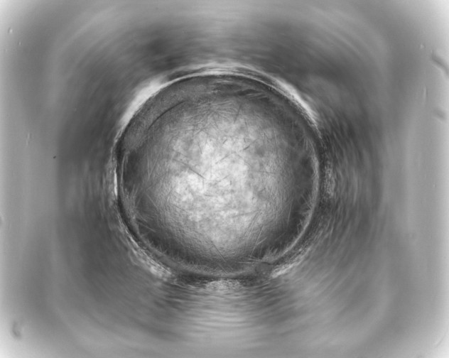 X0000093731368200710301036