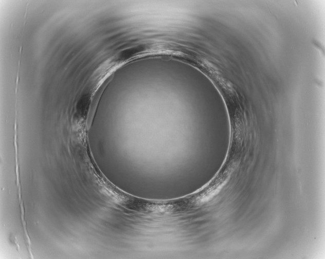 X0000093731369200710301036