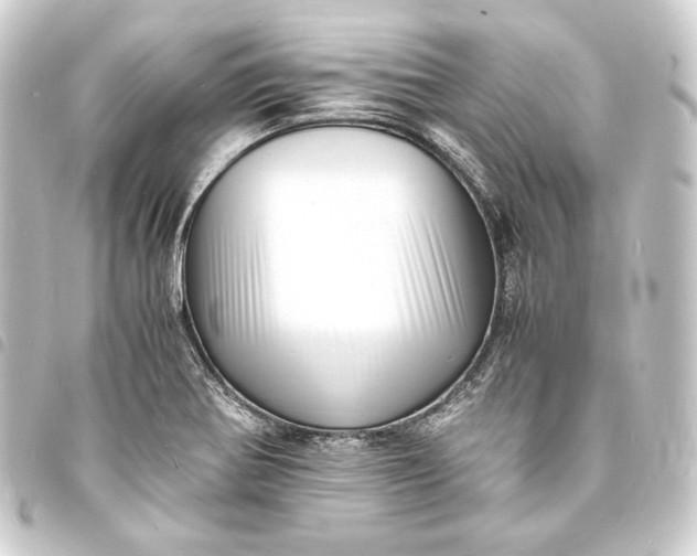 X0000093731370200710301036