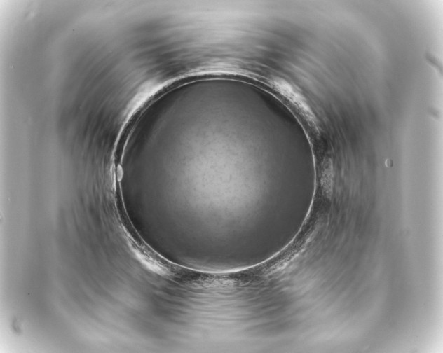 X0000093731372200710301036