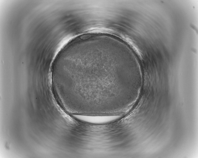 X0000093731376200710301036