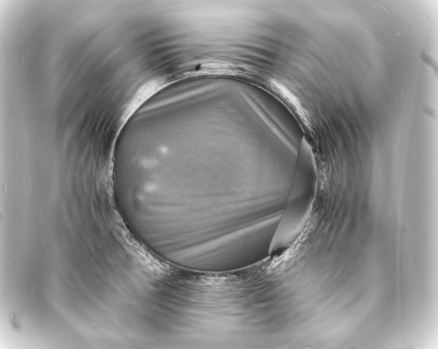X0000093731378200710301036