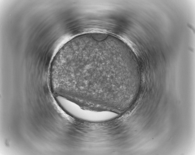 X0000093731379200710301035