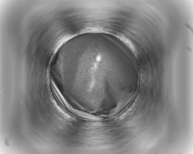 X0000093731382200710301035