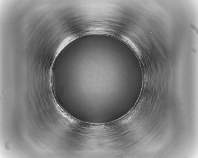 X0000093731386200710301035