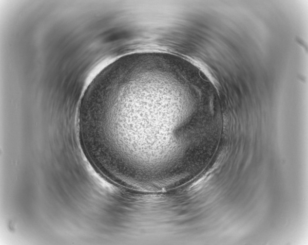 X0000093731387200710301035