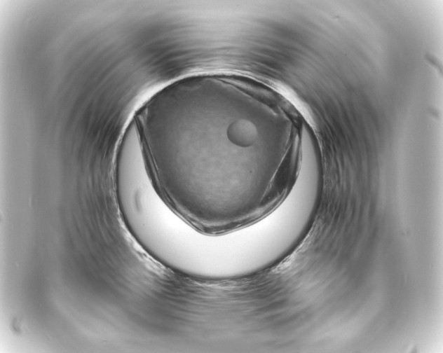 X0000093731388200710301035