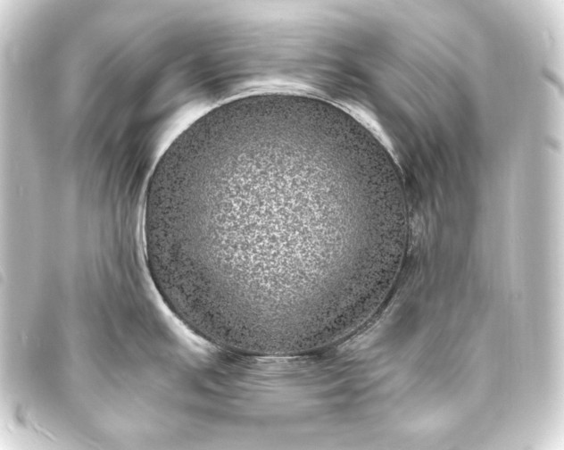 X0000093731391200710301035