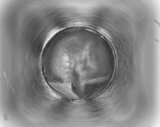 X0000093731392200710301035