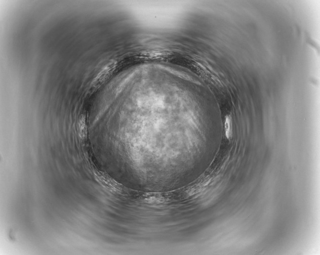 X0000093731395200710301035