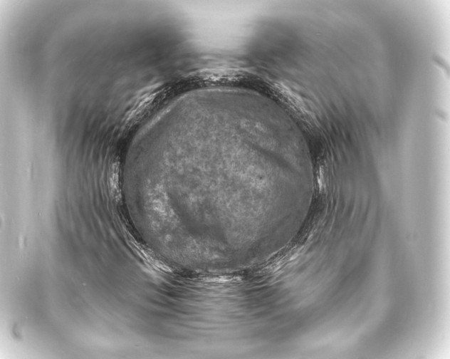 X0000093731396200710301035