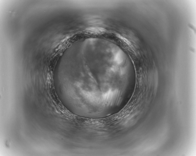 X0000093731397200710301035