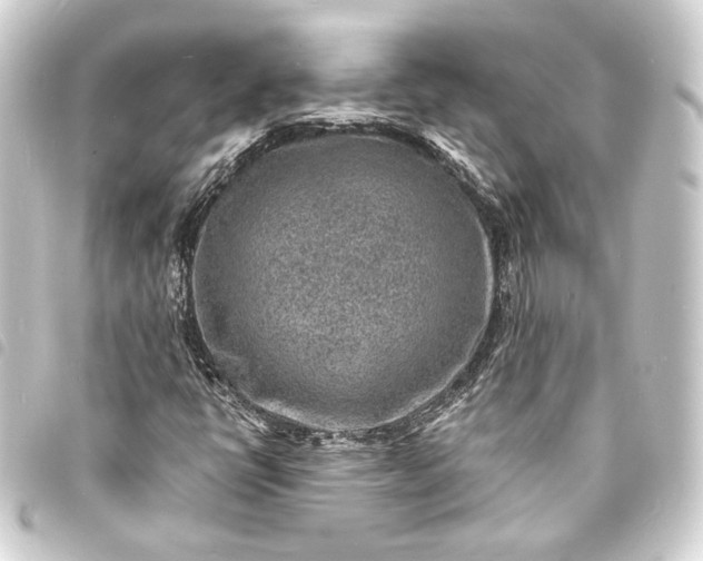 X0000093731398200710301035