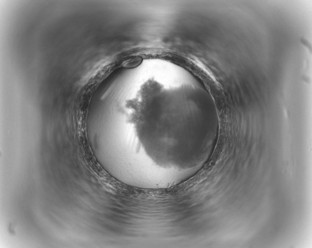 X0000093731399200710301035