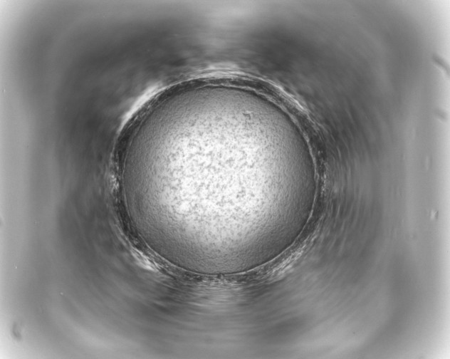 X0000093731400200710301035