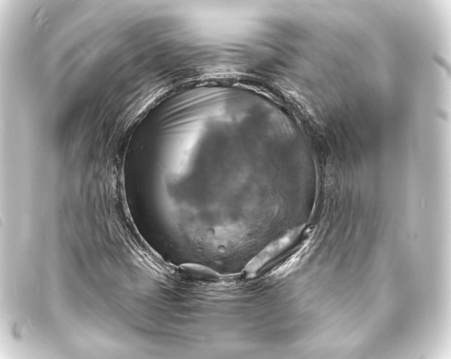 X0000093731401200710301035