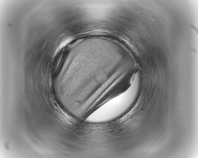 X0000093731402200710301035