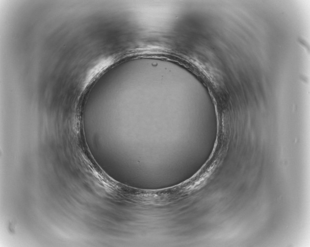 X0000093731405200710301035