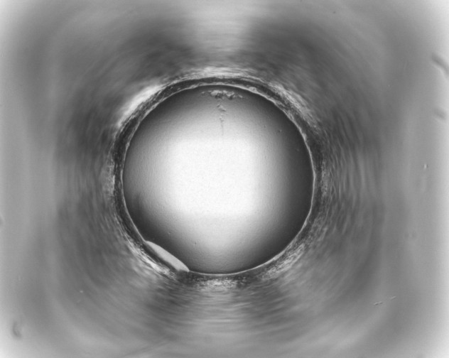 X0000093731406200710301035