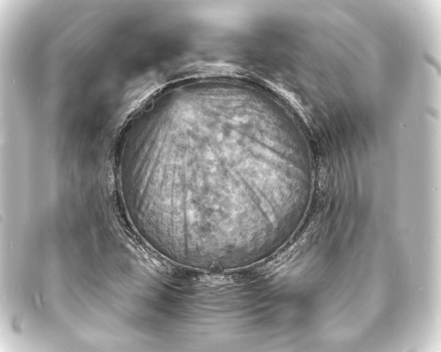 X0000093731407200710301035