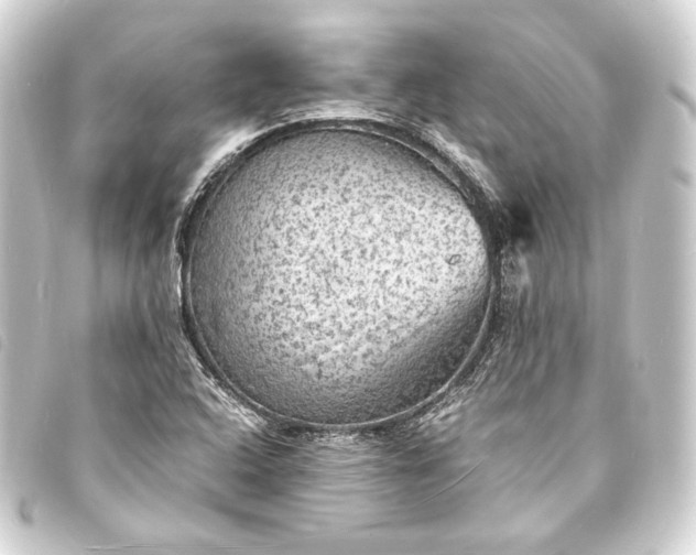 X0000093731408200710301035