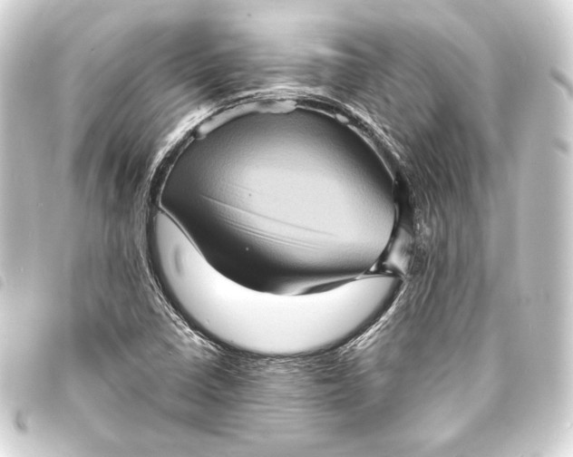 X0000093731410200710301035
