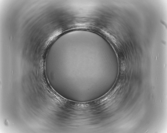 X0000093731411200710301035