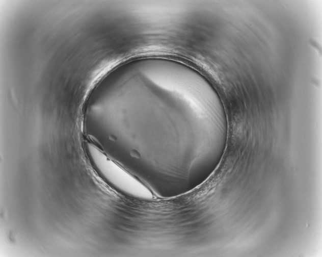 X0000093731413200710301035